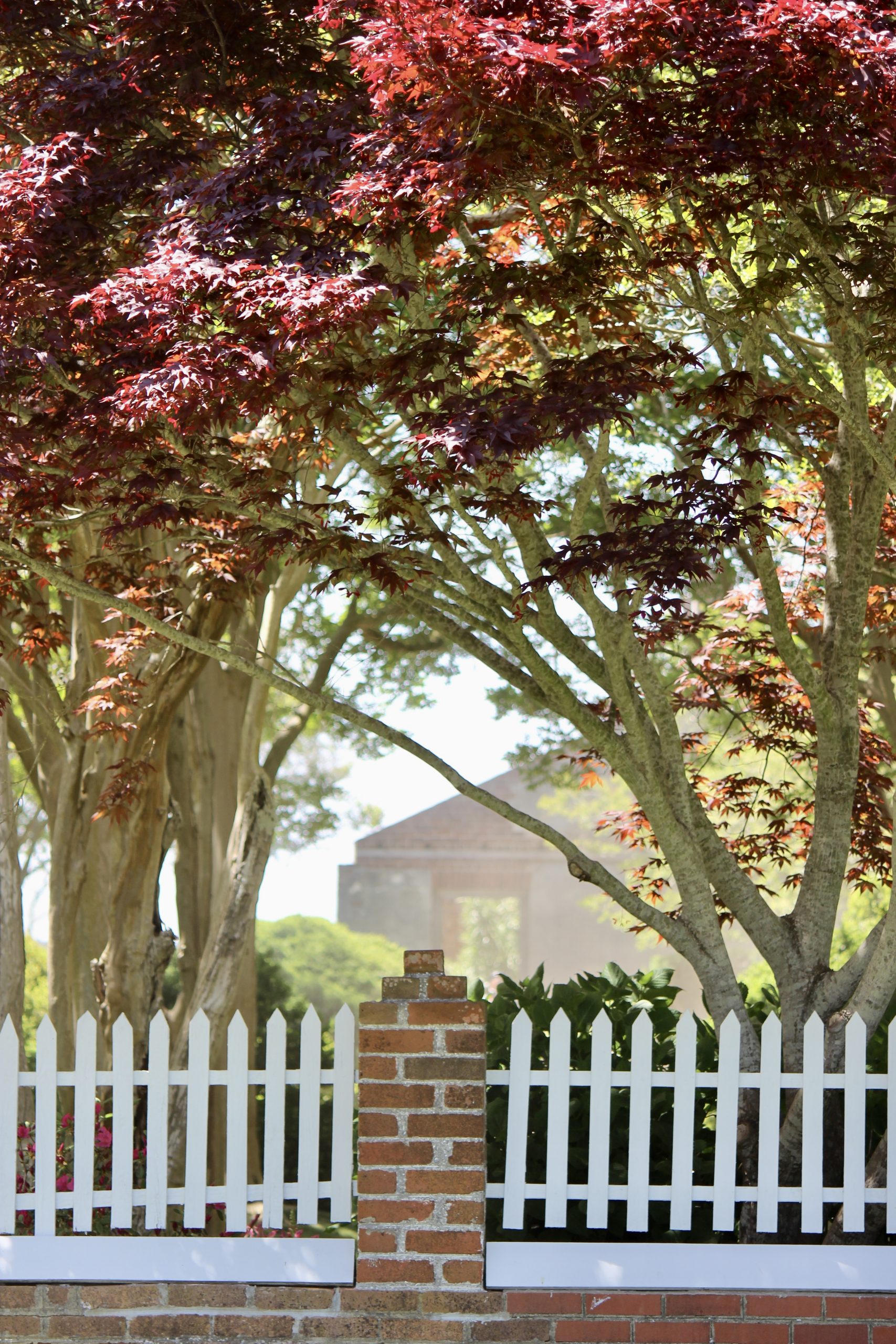 Pressroom Historic Garden Week in Virginia